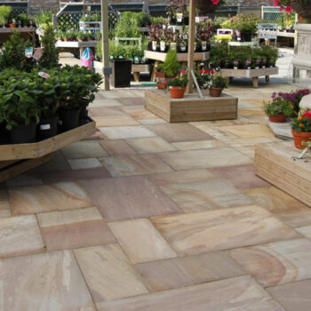 Camel Dust Sandstone